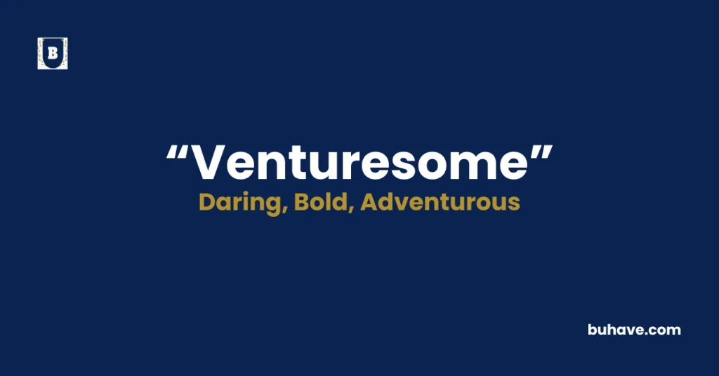 Venturesome - Meaning, Definition, Synonyms and Antonyms