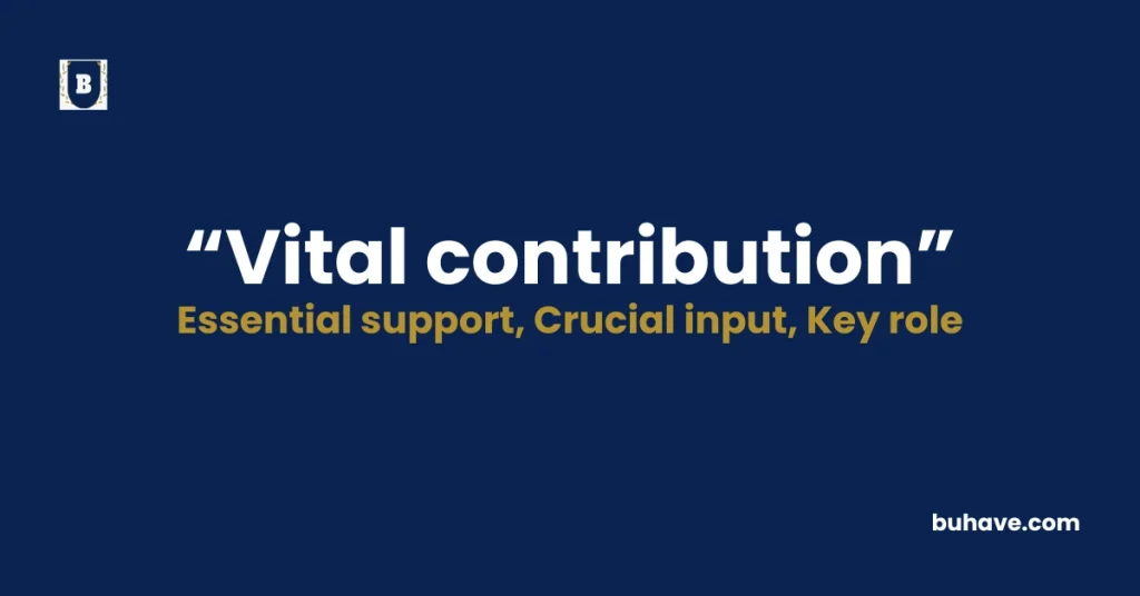 Vital contribution - Meaning, Definition, Synonyms and Antonyms