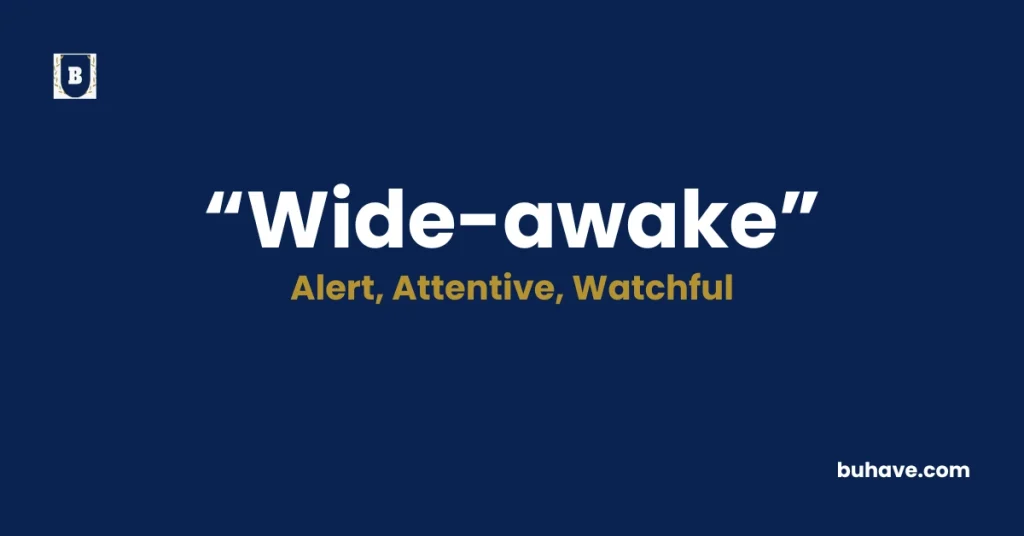 Wide-awake - Meaning, Definition, Synonyms and Antonyms