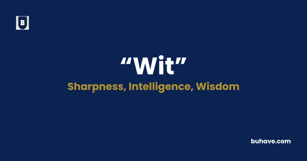 Wit - Meaning, Definition, Synonyms and Antonyms