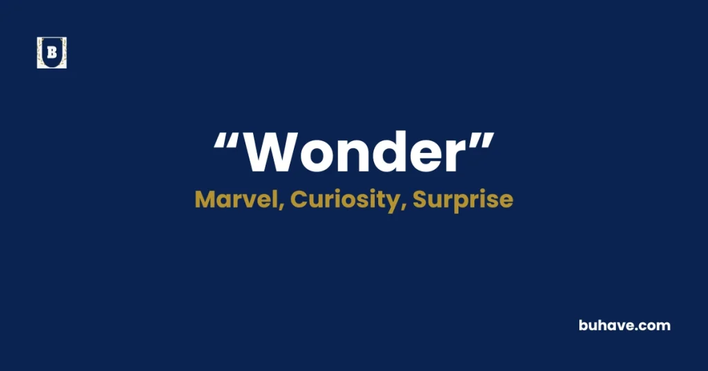Wonder- Meaning, Definition, Synonyms and Antonyms