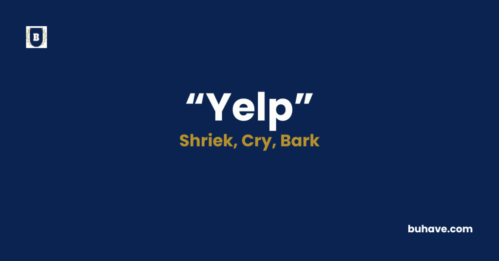 Yelp - Meaning, Definition, Synonyms and Antonyms