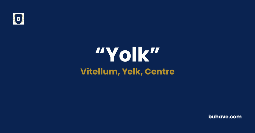 Yolk- Meaning, Definition, Synonyms and Antonyms