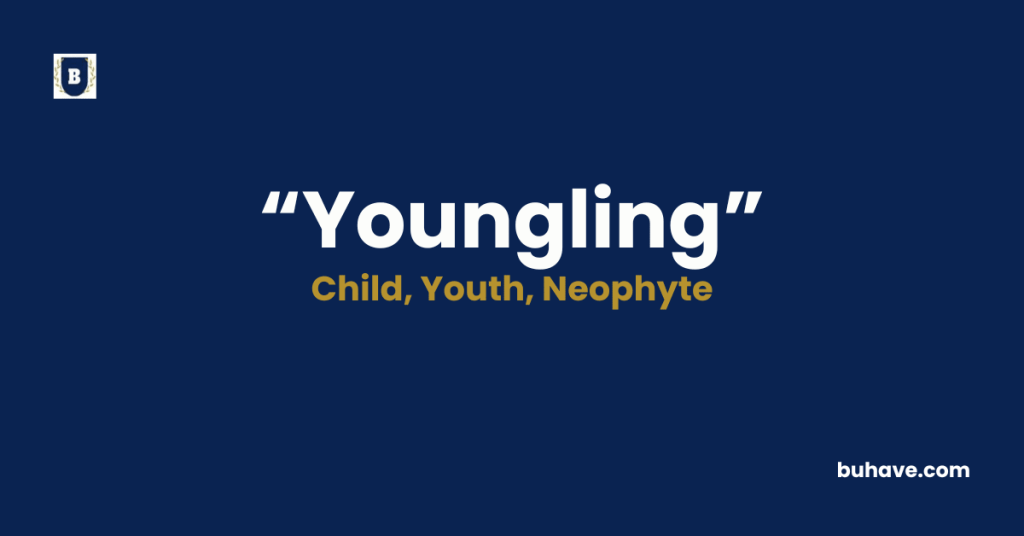 Youngling - Meaning, Definition, Synonyms and Antonyms