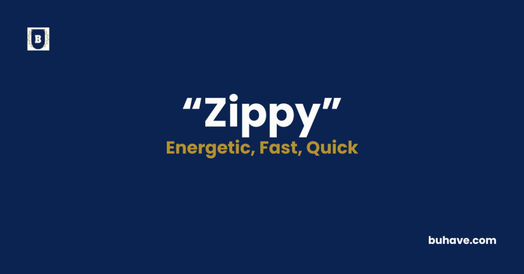 Zippy - Meaning, Definition, Synonyms and Antonyms