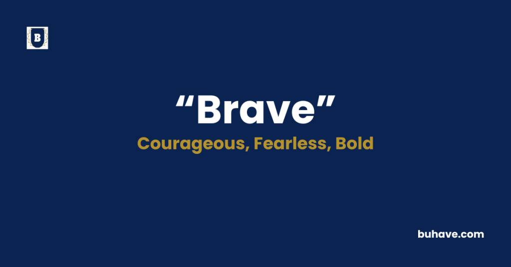 Brave-Meaning-Definition-Synonyms-Antonyms