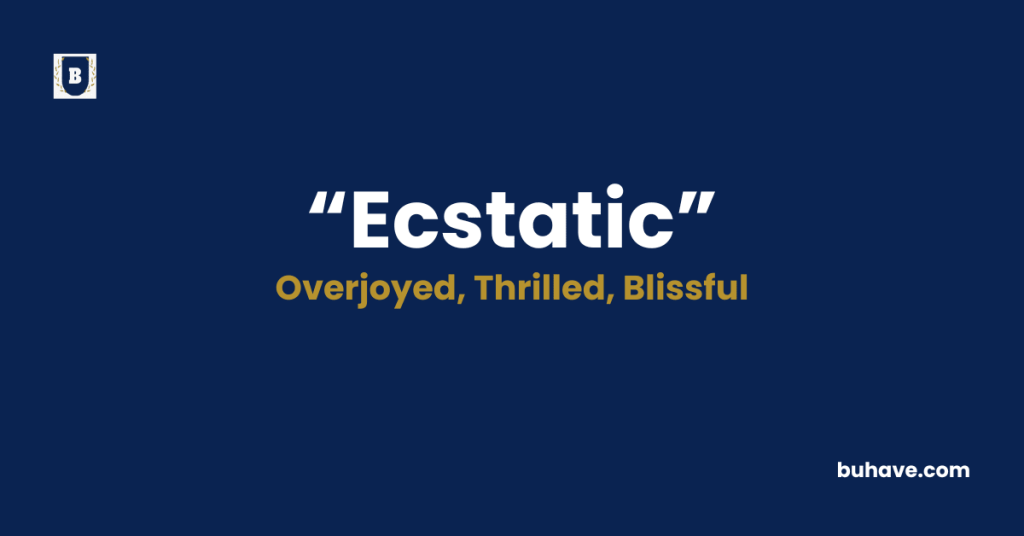 Ecstatic-Meaning-Definition-Synonyms-Antonyms