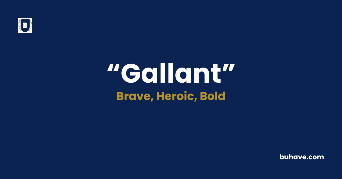Gallant-Meaning-Definition-Synonyms-Antonyms
