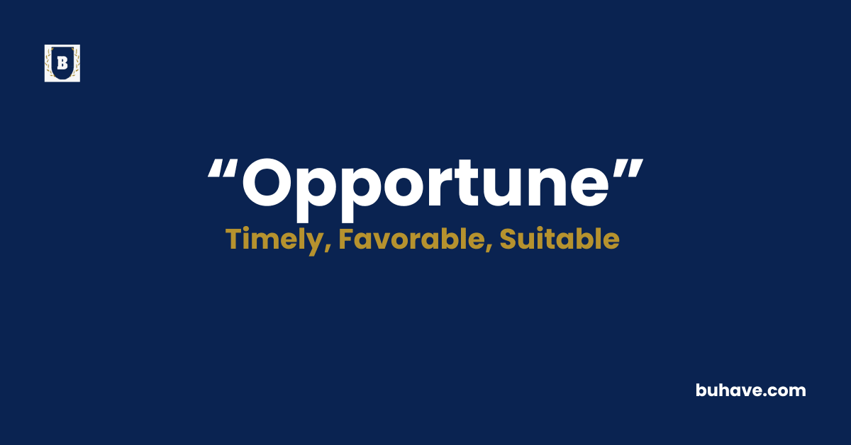 Opportune-Meaning-Definition-Synonyms-Antonyms