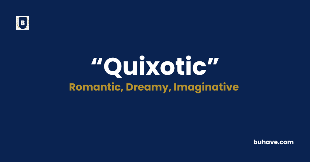 Quixotic -Meaning-Definition-Synonyms-Antonyms