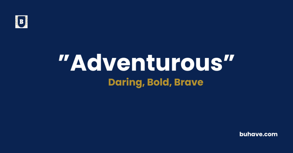 Adventurous meaning definition synonyms antonyms