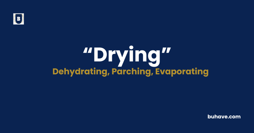 Drying meaning definition synonyms antonyms
