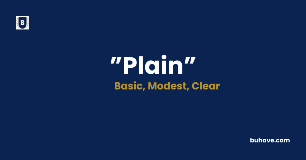 Plain meaning definition synonyms antonyms