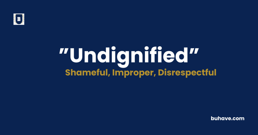 Undignified meaning definition synonyms antonyms