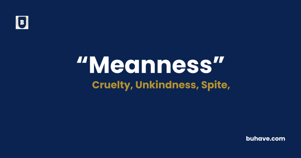 Meanness Meaning-Definition-Synonyms-Antonyms