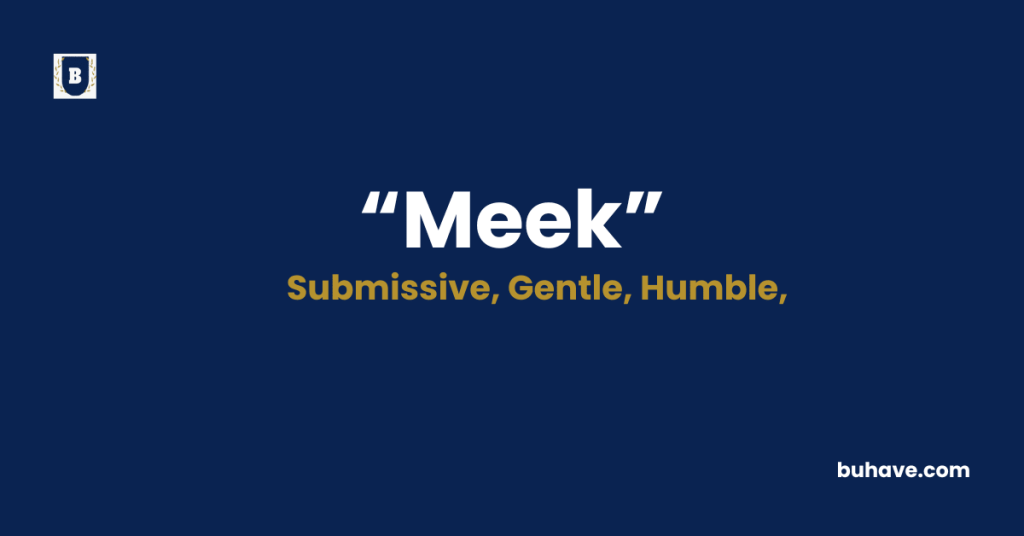 Meek-Meaning-Definition-Synonyms-Antonyms
