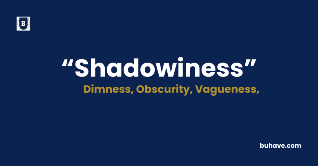 Shadowiness Meaning-Definition-Synonyms-Antonyms