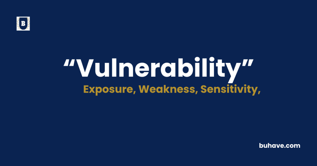 Vulnerability Meaning-Definition-Synonyms-Antonyms