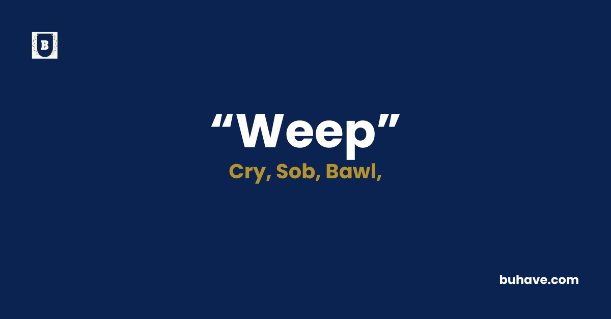 Weep-Meaning-Definition-Synonyms-Antonyms