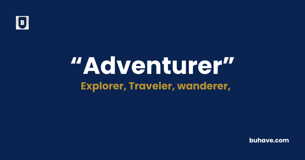 Adventurer - Meaning - Definition - Synonyms - Antonyms