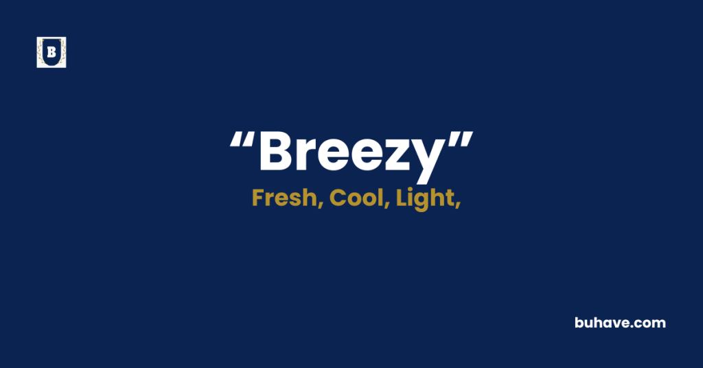 Breezy - Meaning - Definition - Synonyms - Antonyms