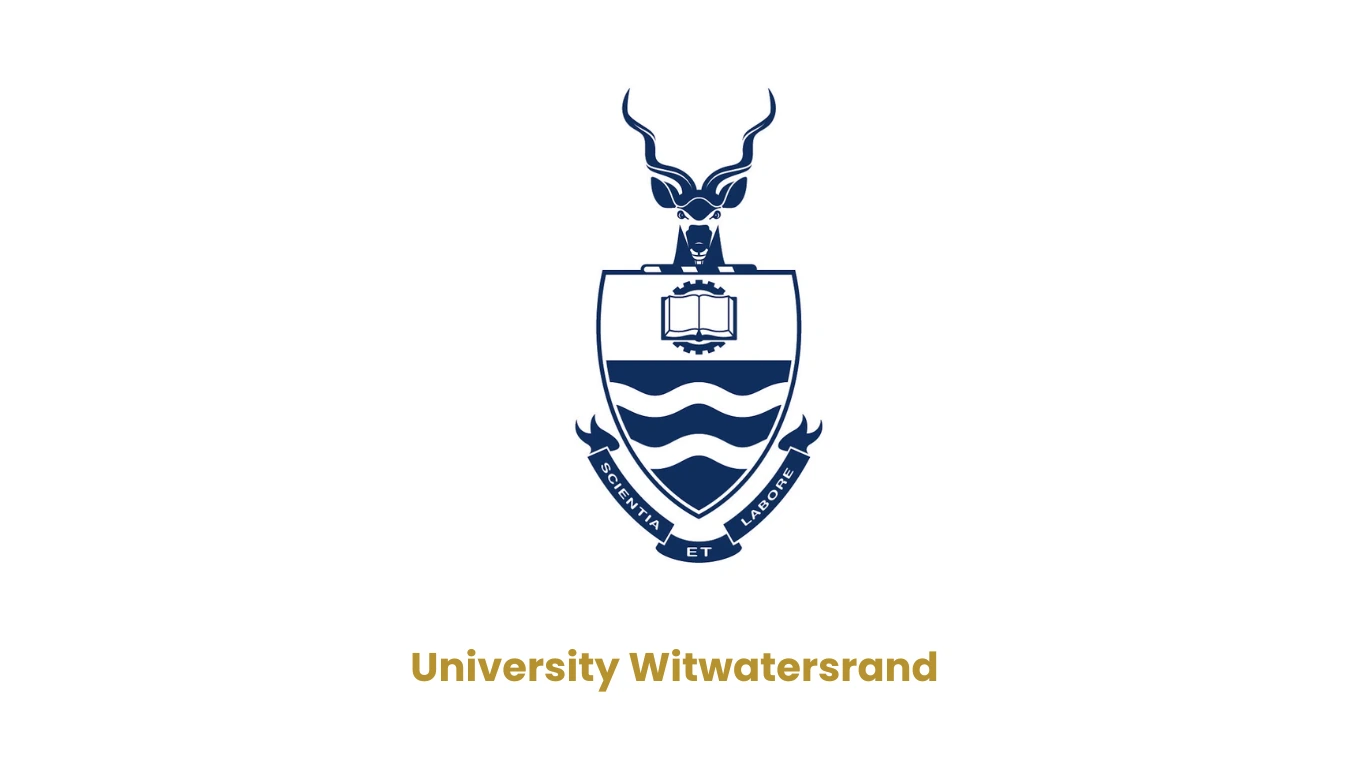 university witwatersrand