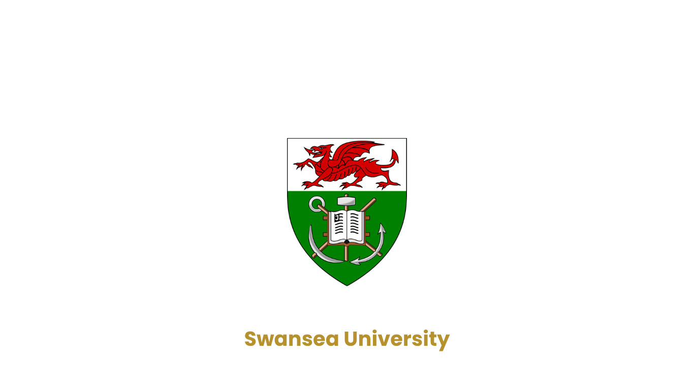 Swansea University