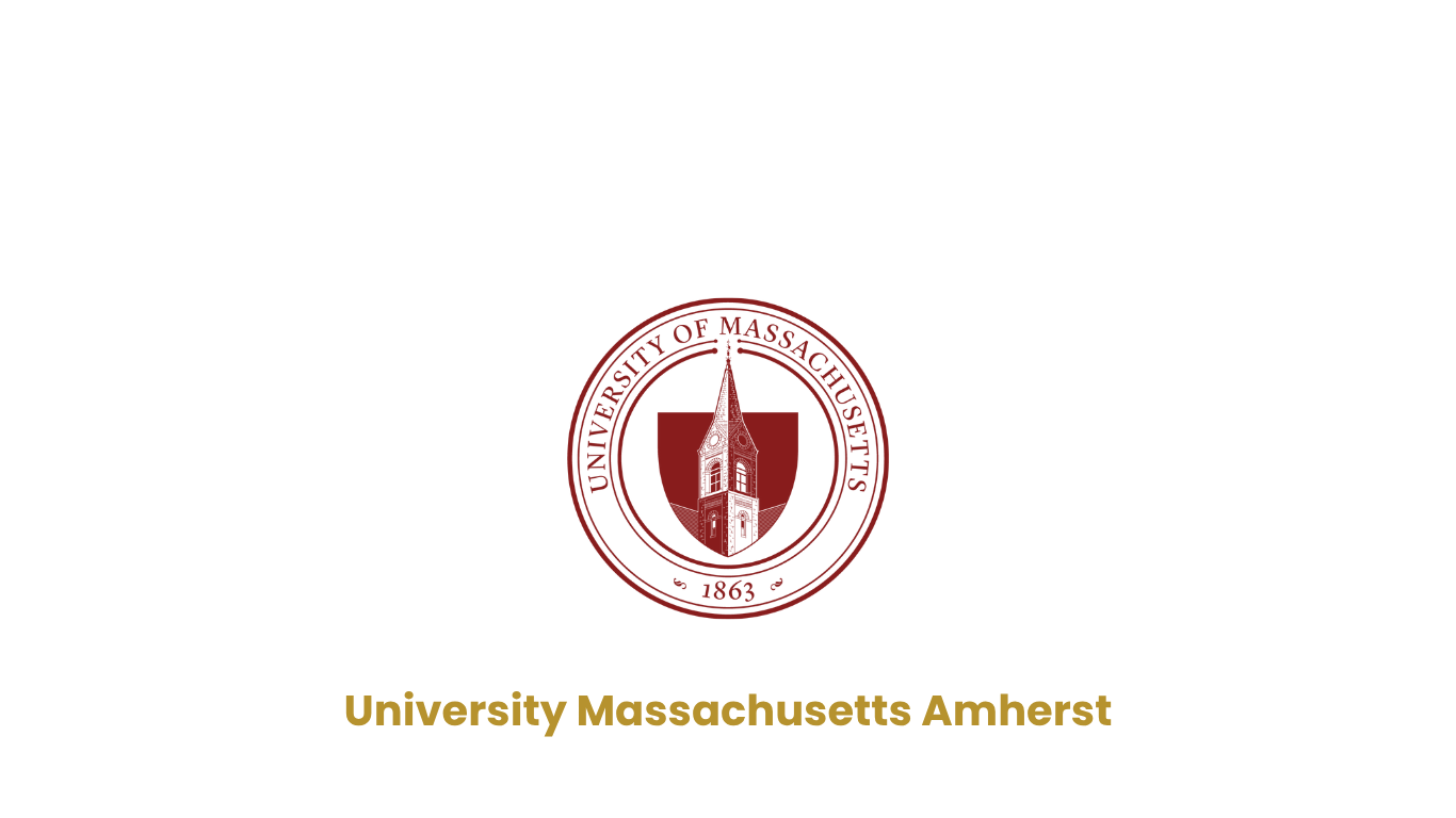 University Massachusetts Amherst