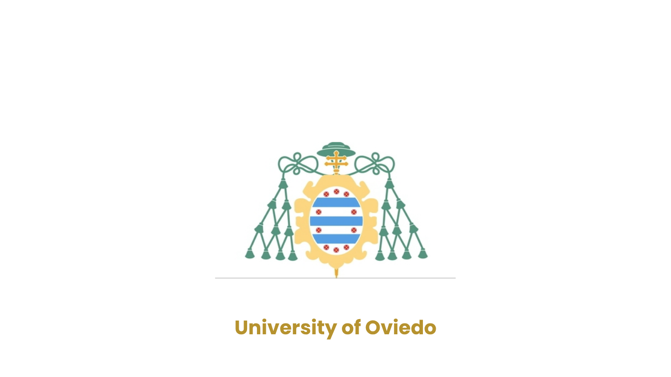 University of Oviedo