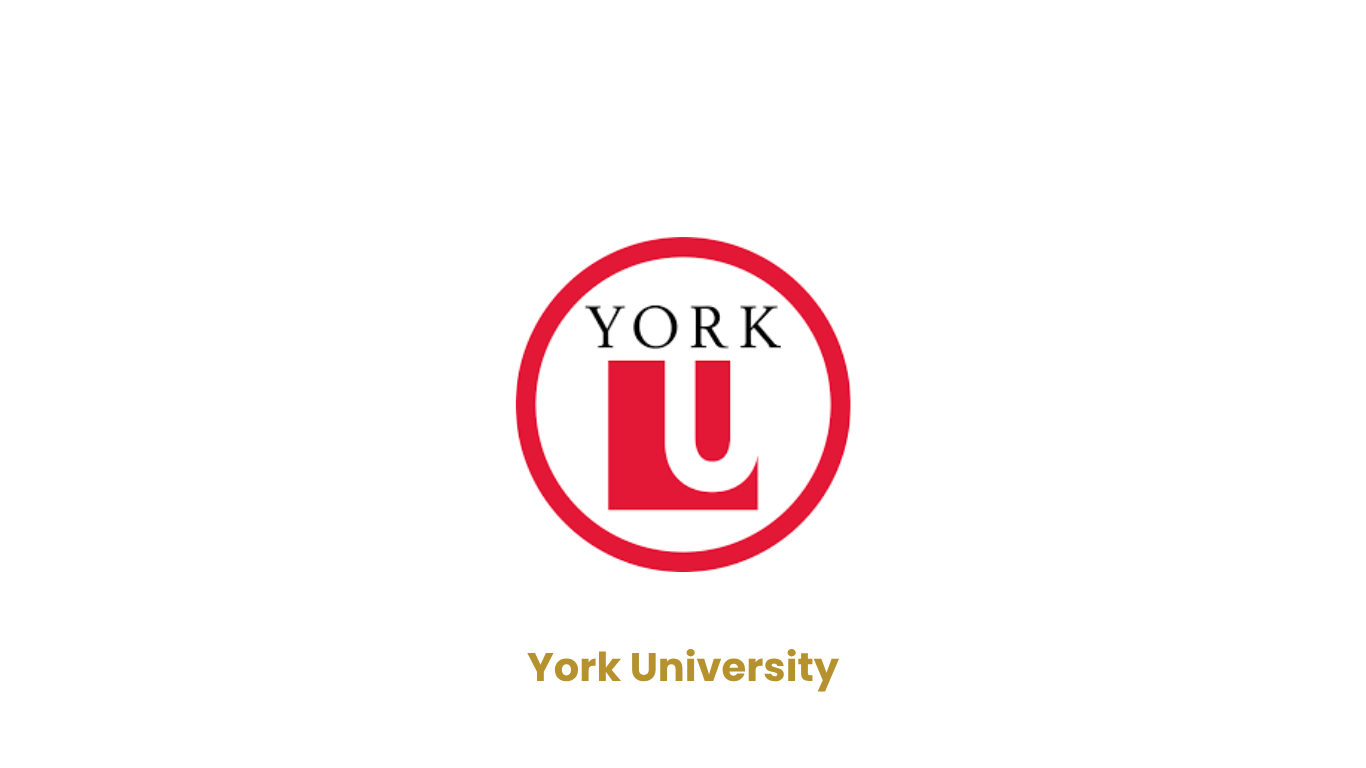 York University