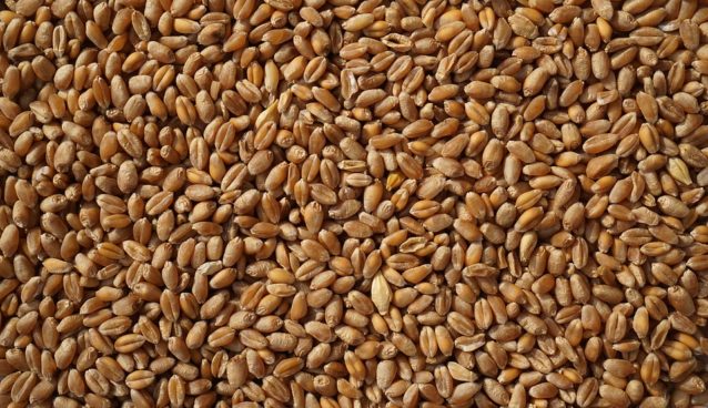 double-the-grains