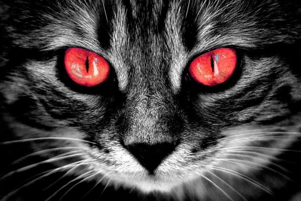 Red Eyes