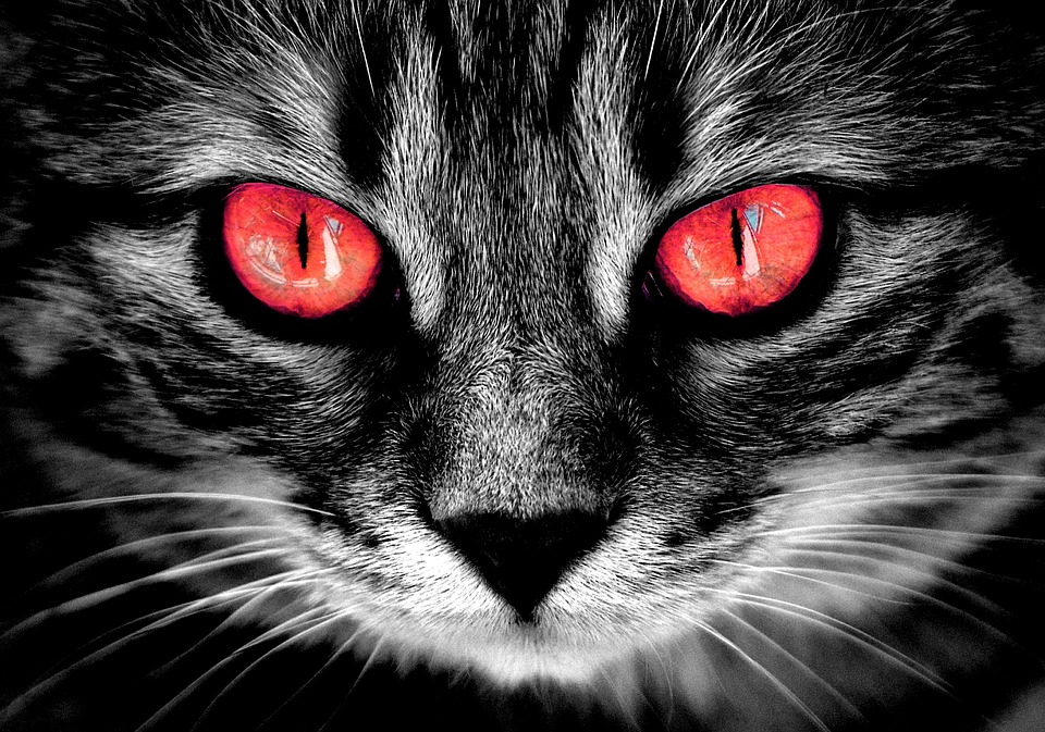 Red Eyes