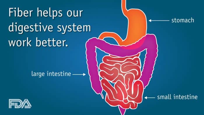 Digestive Health