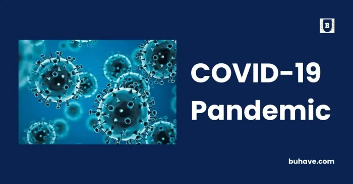 COVID-19 Pandemic