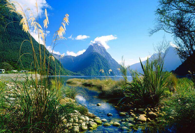 Fiordland