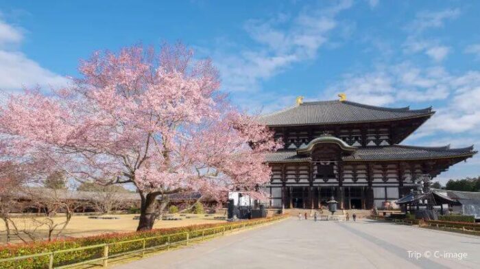 Todaji Temple