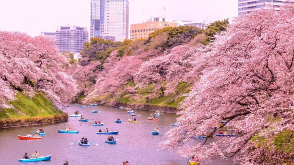 Psykiatri provokere Bevægelig List of Top 10 Visiting Places in Japan | BUHAVE