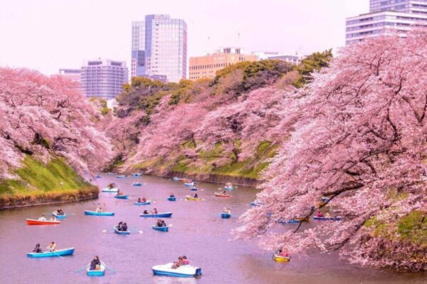 Top 10 Visiting Places in Japan
