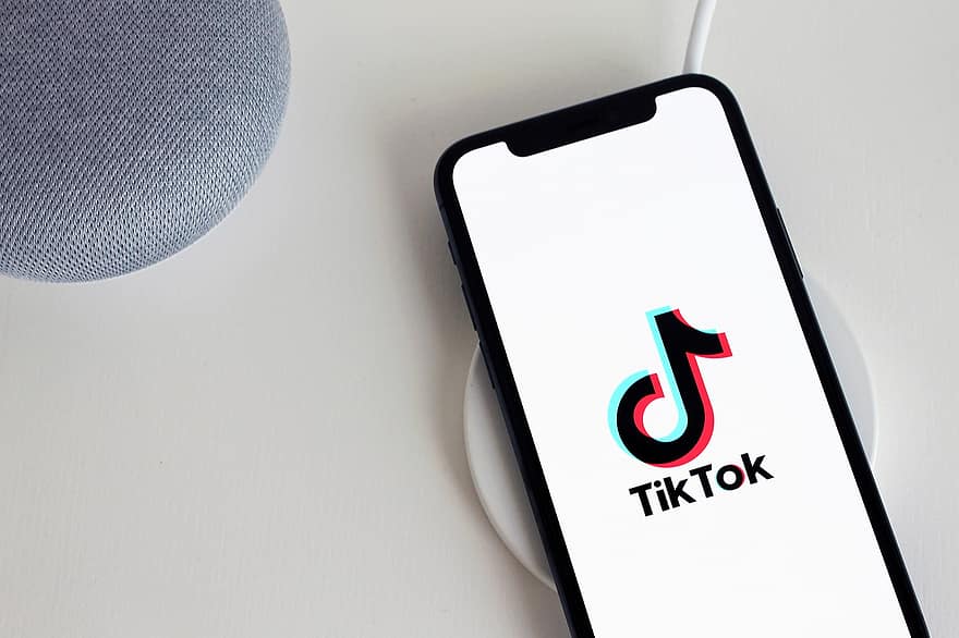 Download TikTok Videos