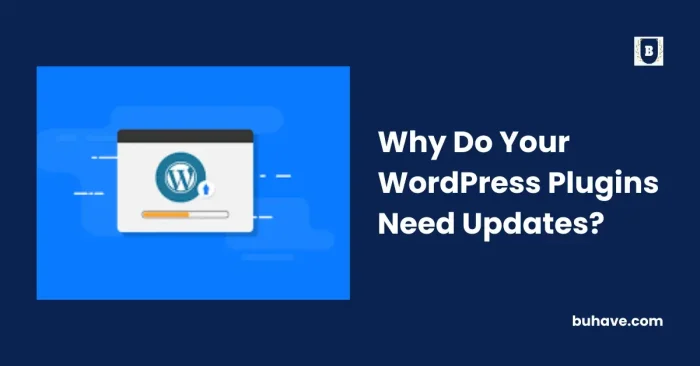 Why Do Your WordPress Plugins Need Updates