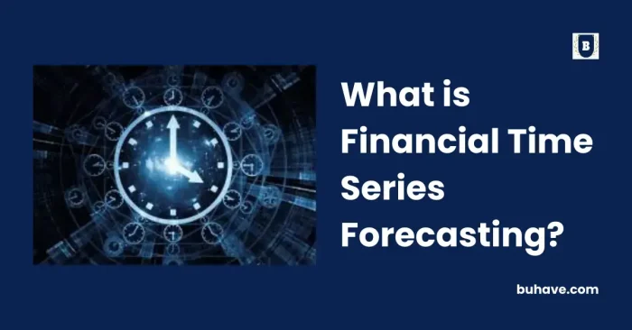 What is Financial Time Series Forecasting