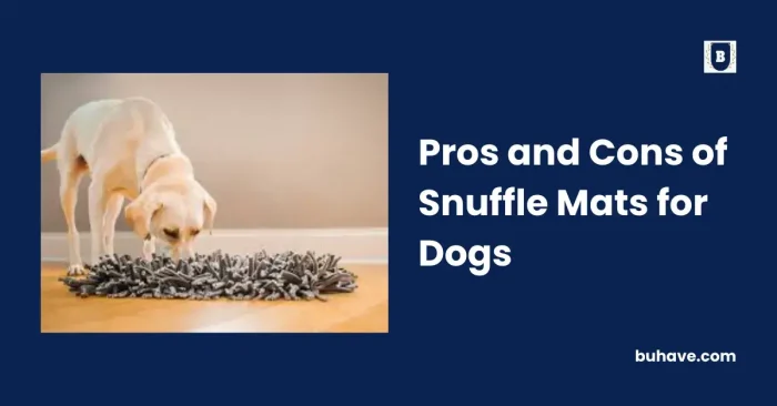 Pros and Cons of Snuffle Mats for Dogs