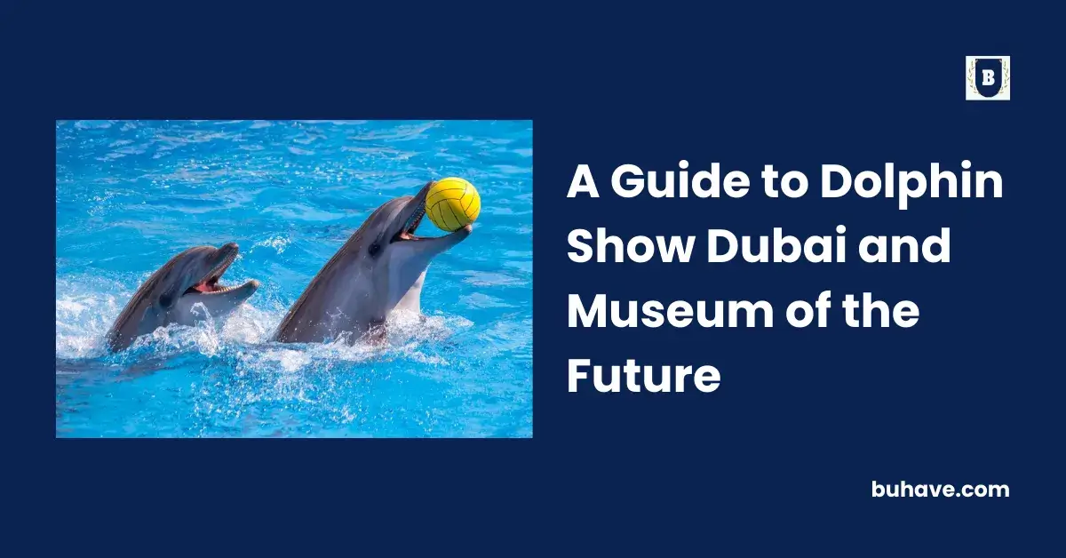 A Guide to Dolphin Show Dubai and Museum of the Future