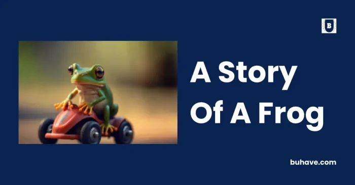 A Story Of A Frog