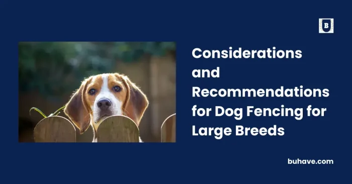 Considerations and Recommendations for Dog Fencing for Large Breeds