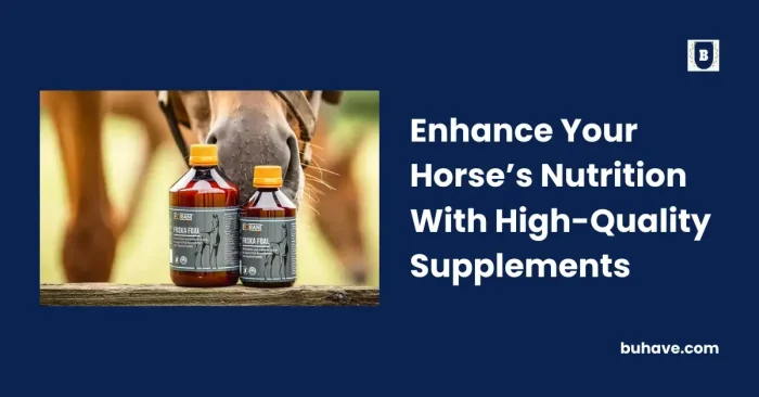Enhance Your Horse’s Nutrition With High-Quality Supplements