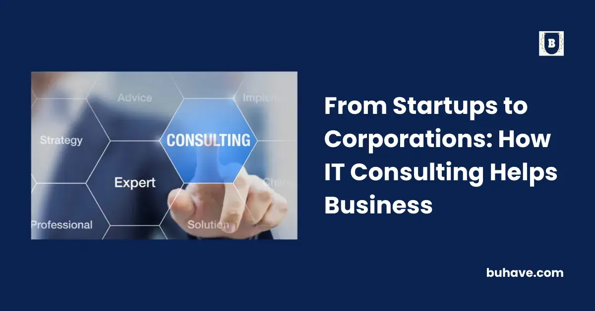 From Startups to Corporations_ How IT Consulting Helps Business