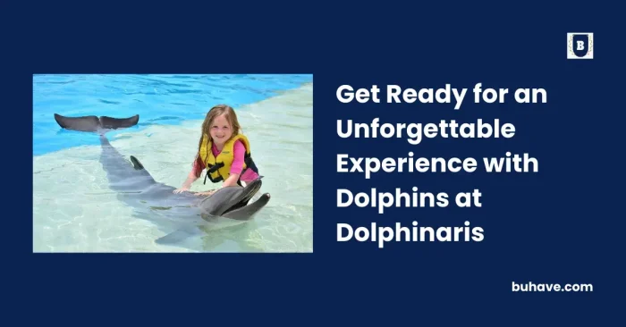 Get Ready for an Unforgettable Experience with Dolphins at Dolphinaris
