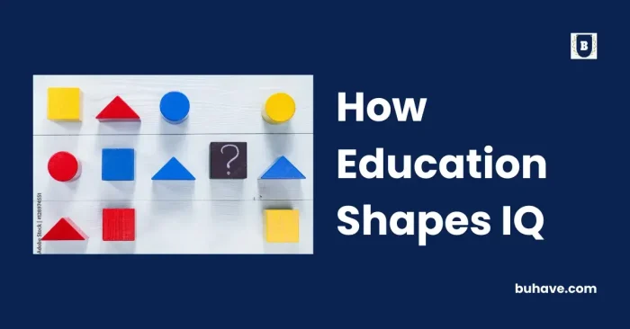 How Education Shapes IQ